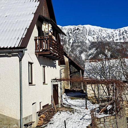 Appartamento Hikers Hut Hisar Podbrdo Esterno foto