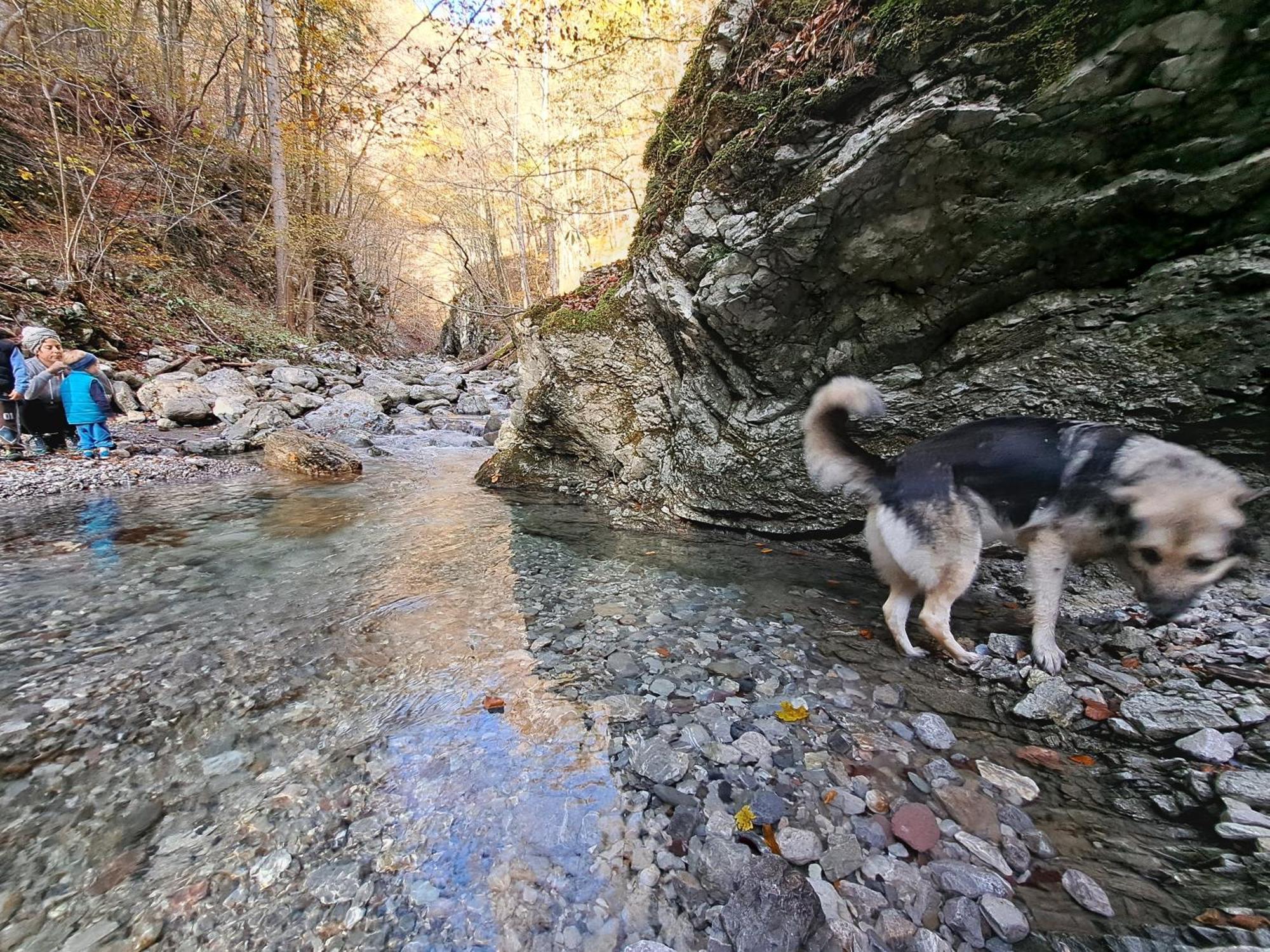 Appartamento Hikers Hut Hisar Podbrdo Esterno foto