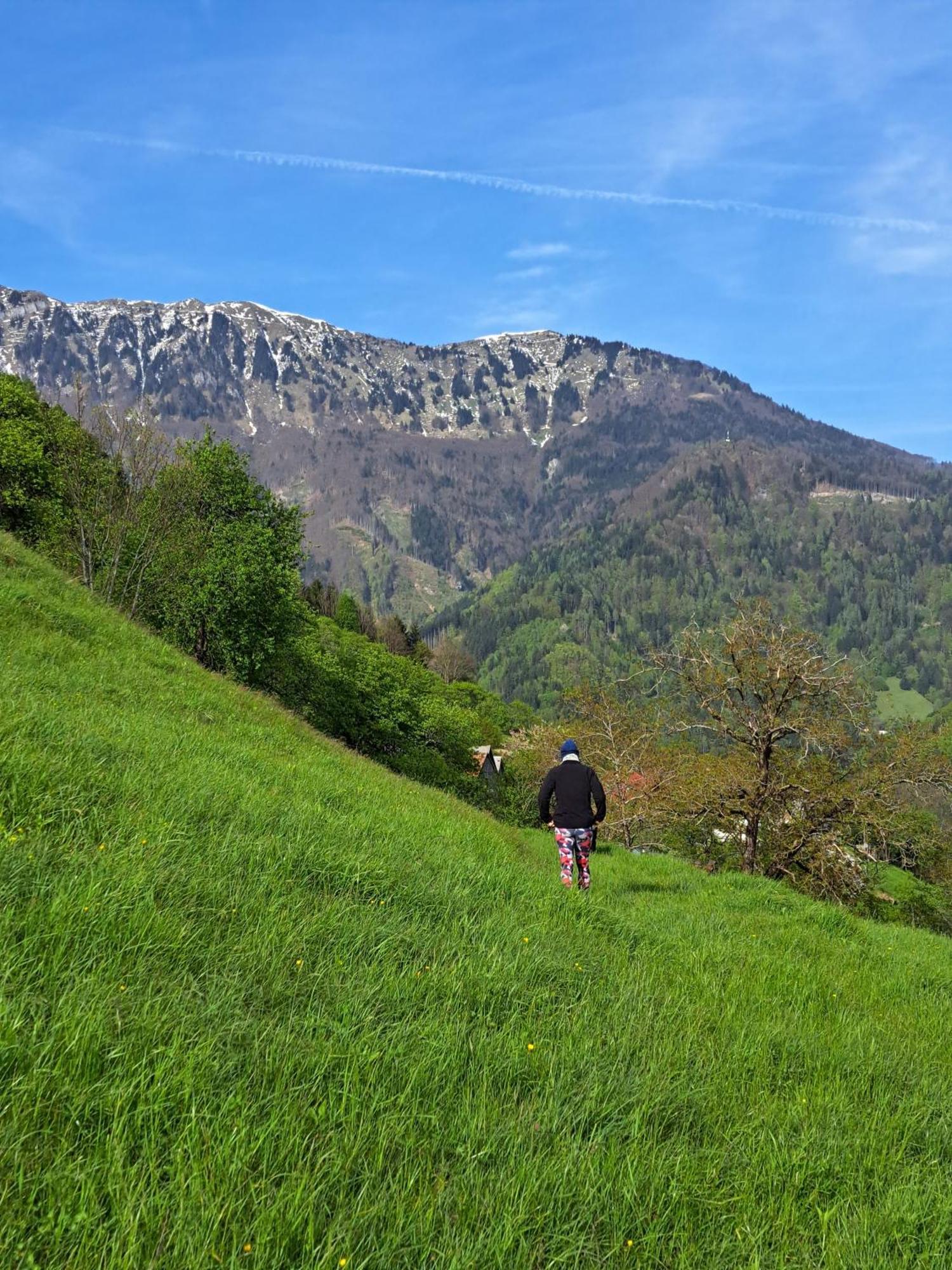 Appartamento Hikers Hut Hisar Podbrdo Esterno foto